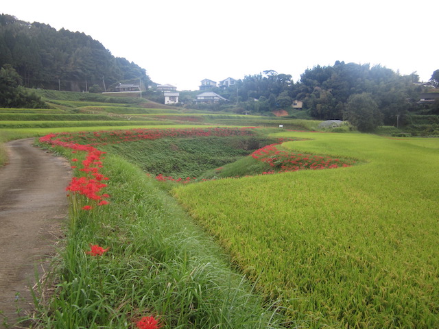 2018:09:19/h30_kyoutei01.JPG