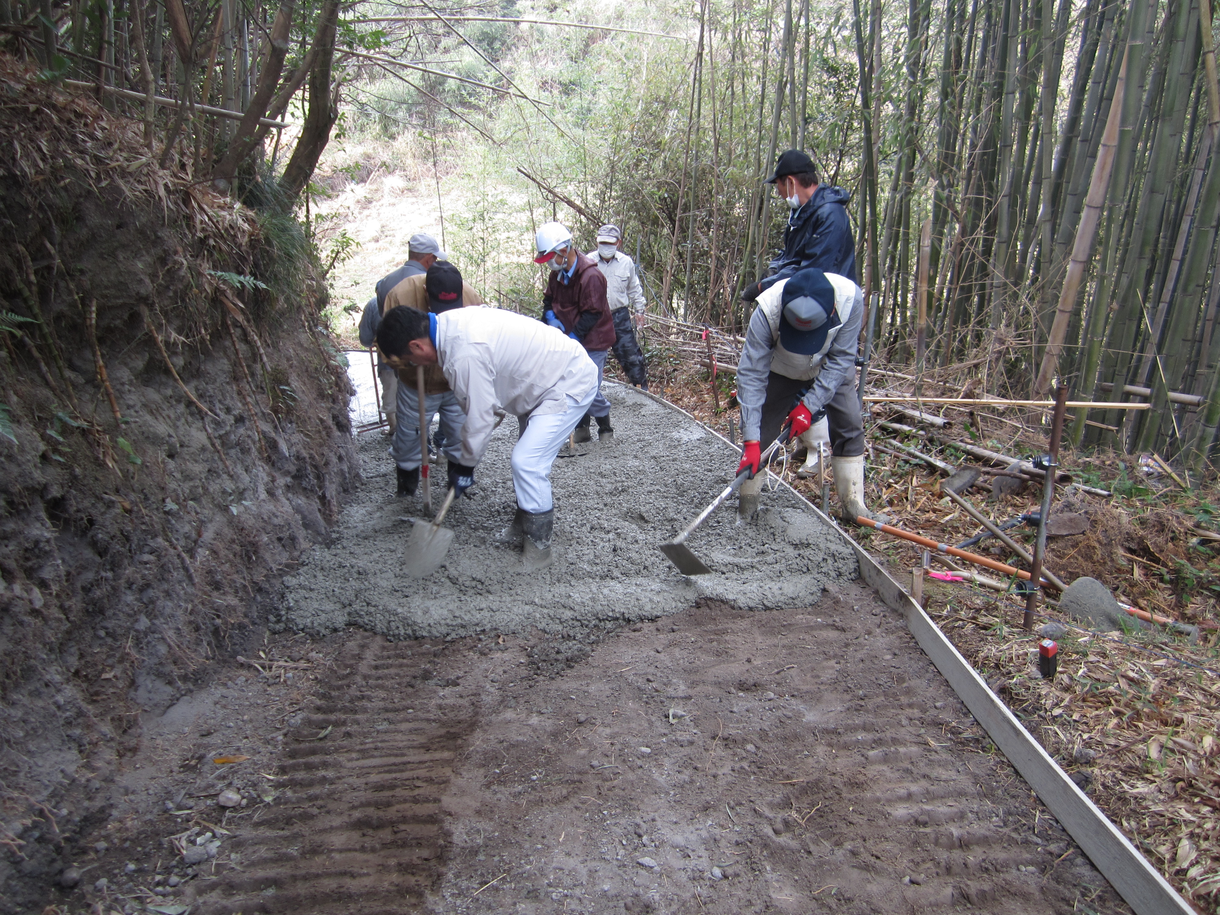 2022.03.15/IMG_2529.JPG