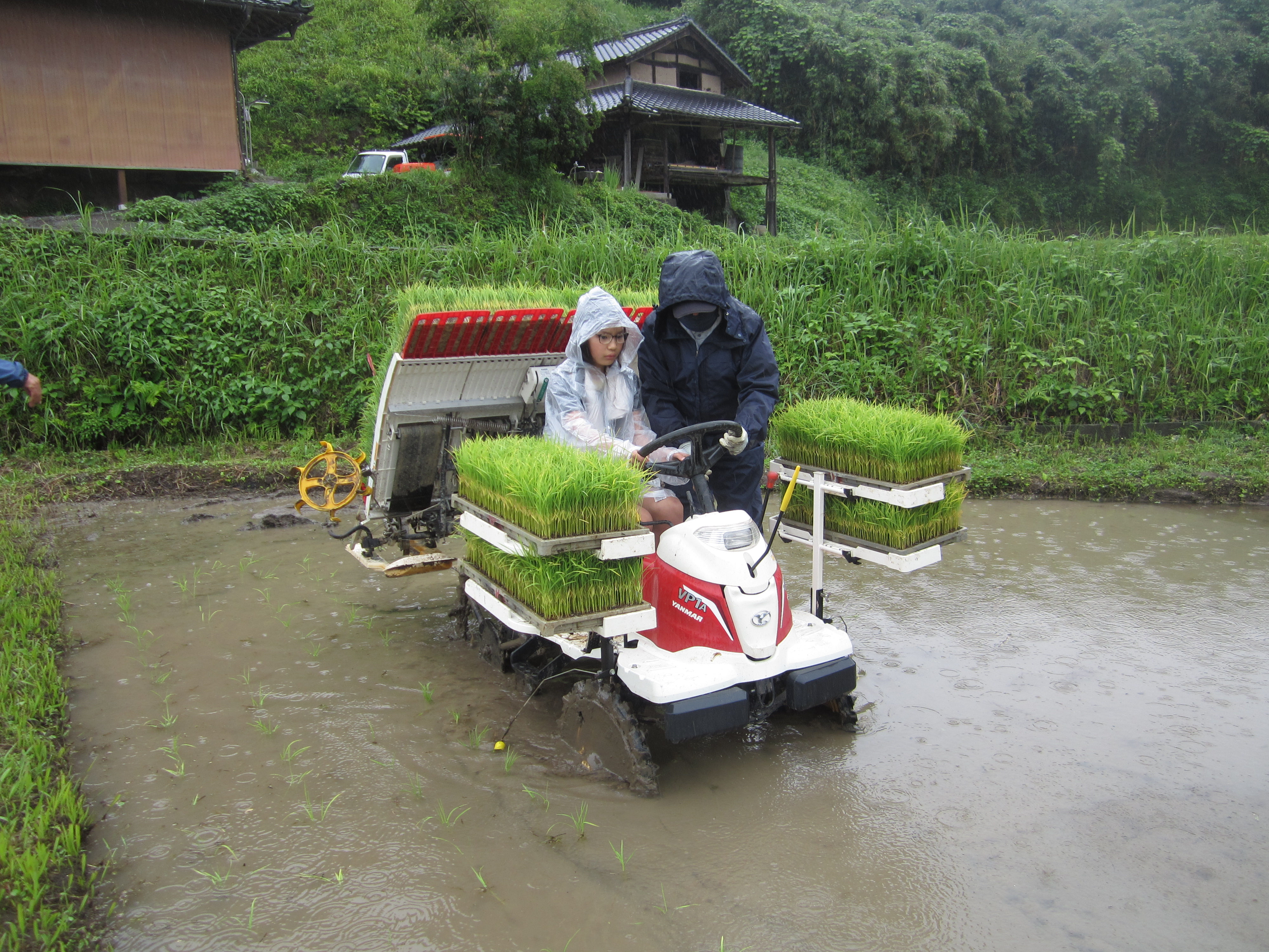 2022.06.14/IMG_2536.JPG