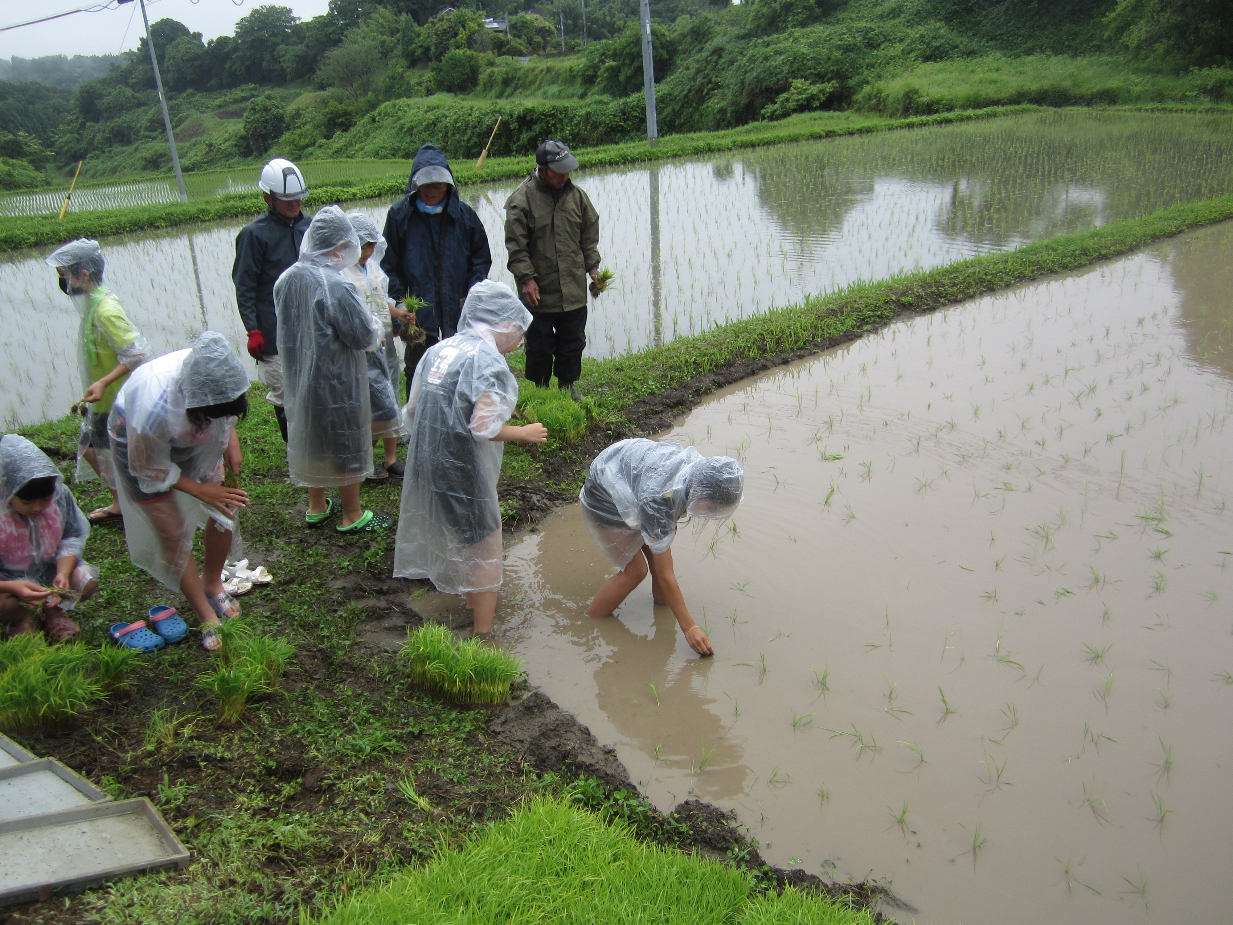 2022.06.14/IMG_2539.JPG
