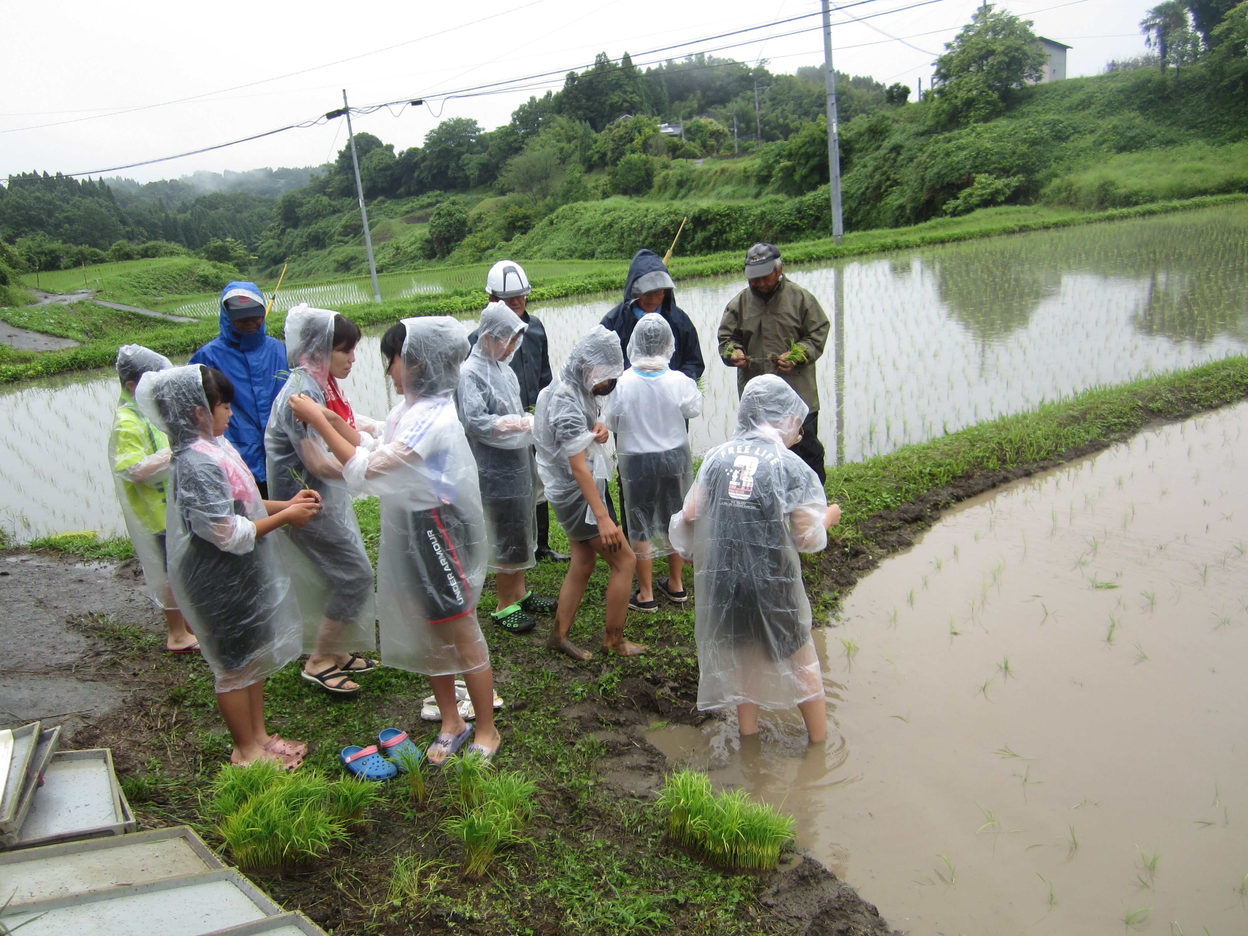 2022.06.14/IMG_2540.JPG