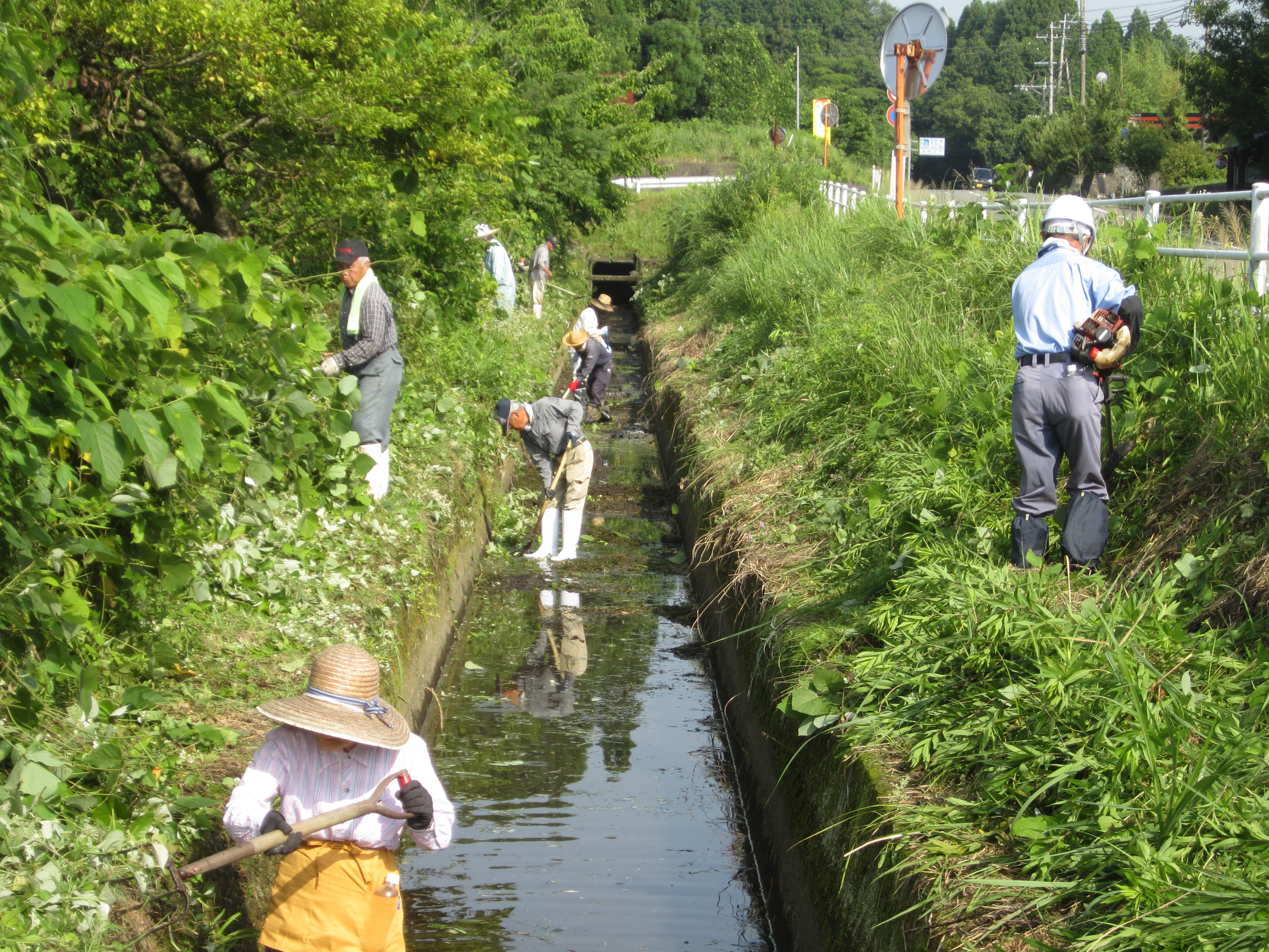 2022.07.10/IMG_2548.JPG