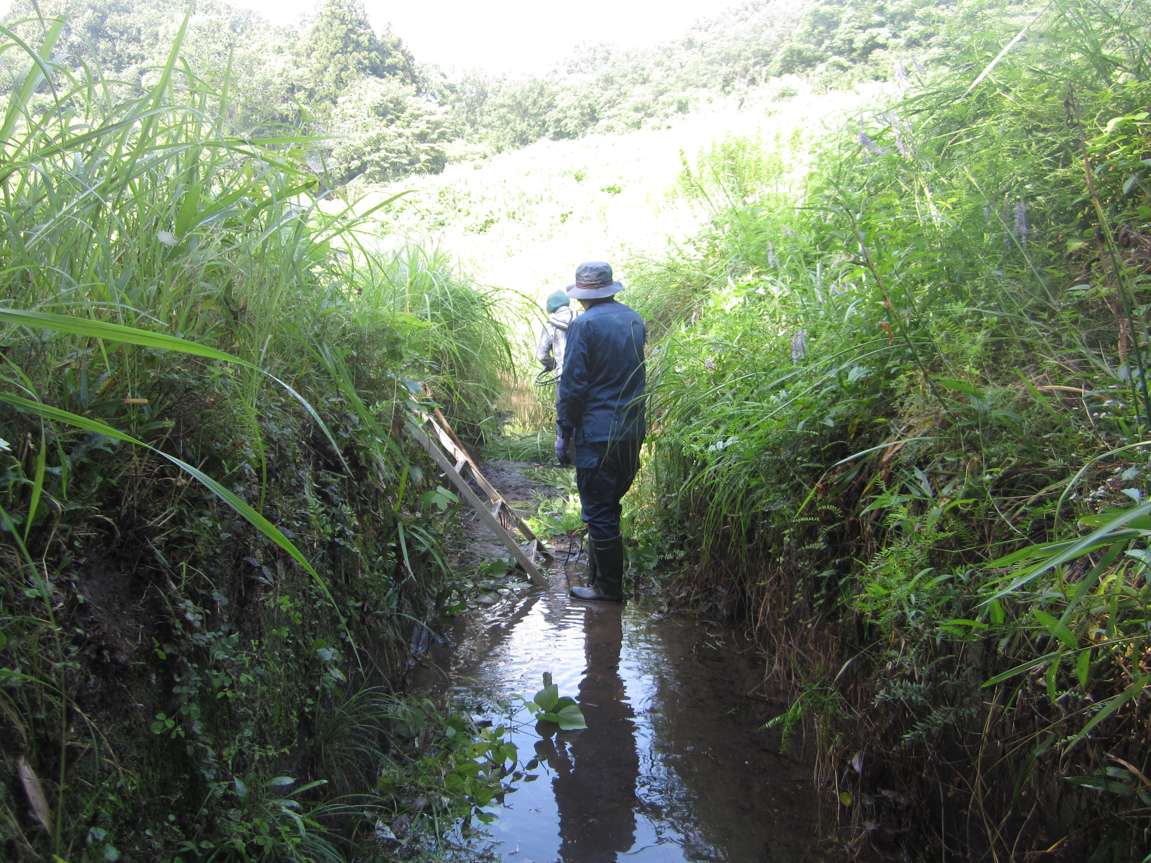 2023.07.30/IMG_2625.JPG