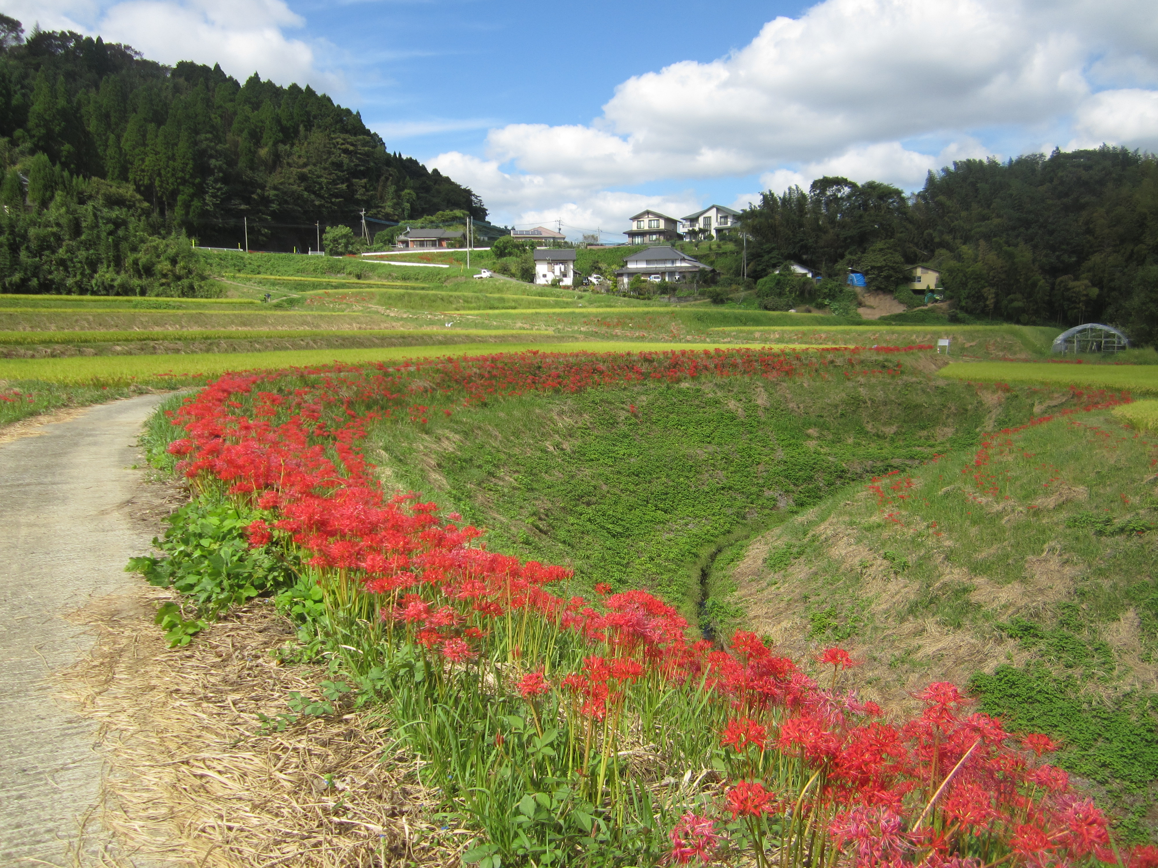 2023.09.30/IMG_2655.JPG
