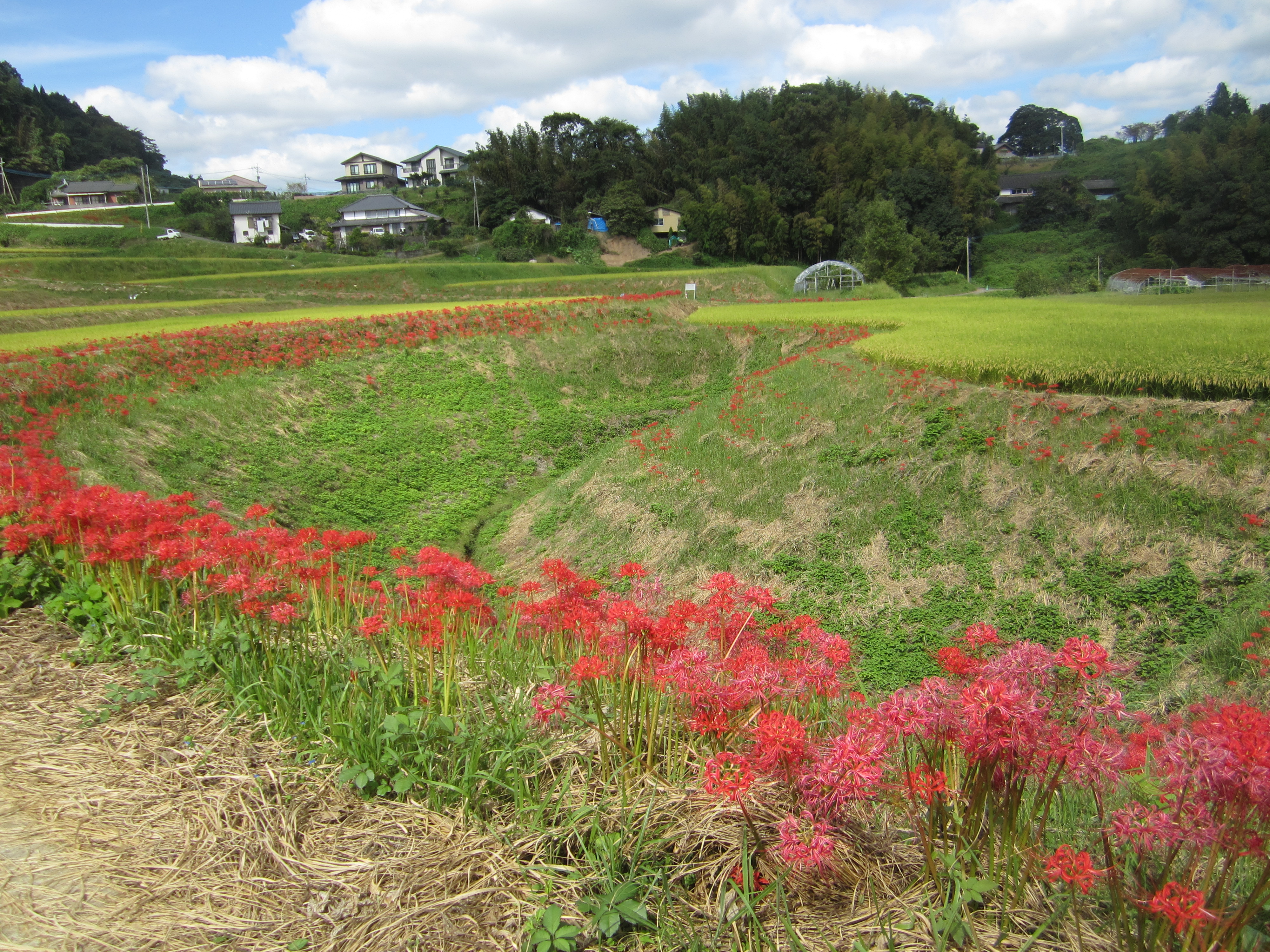 2023.09.30/IMG_2656.JPG