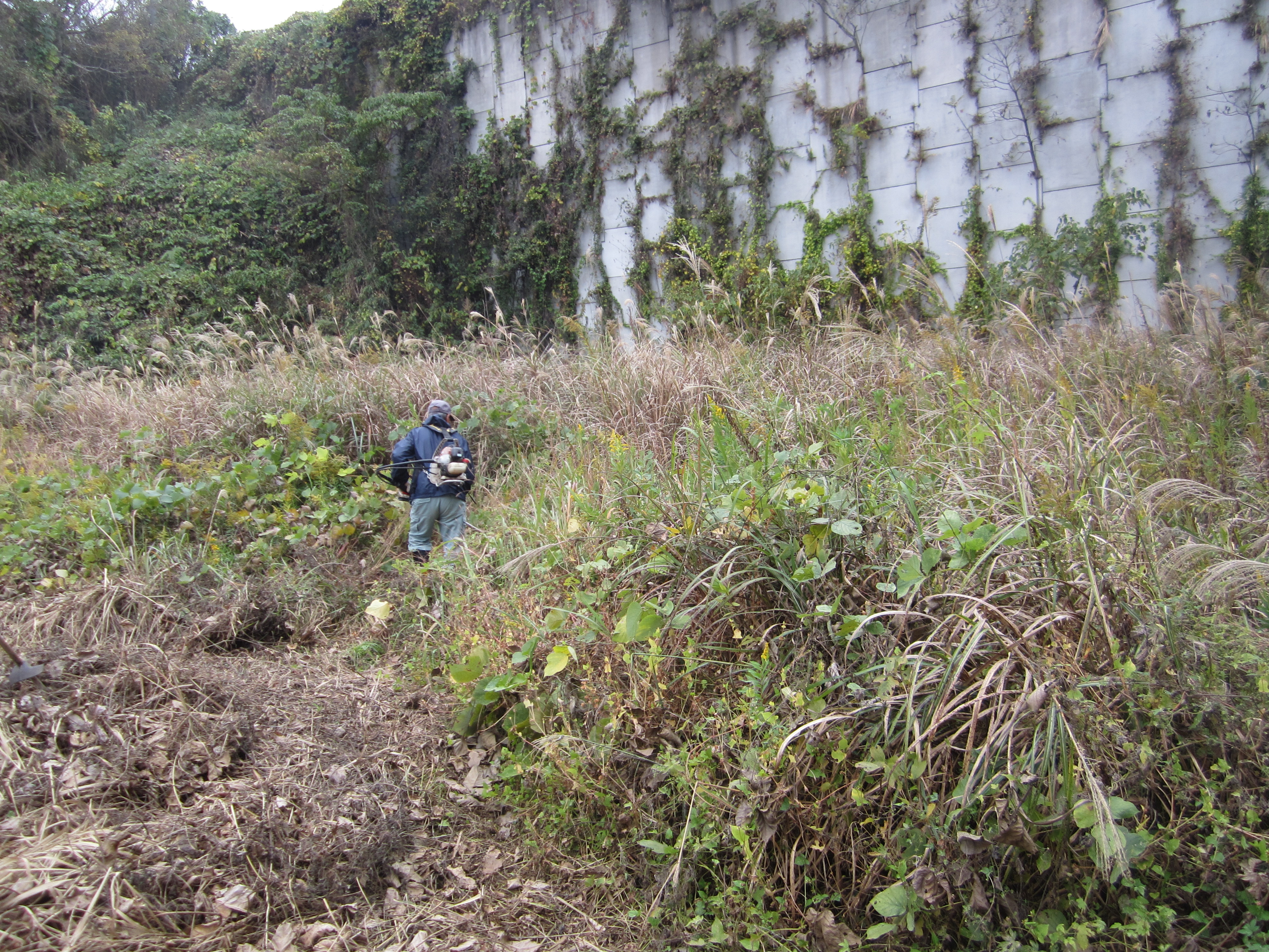 2023.11.30/IMG_2675.JPG