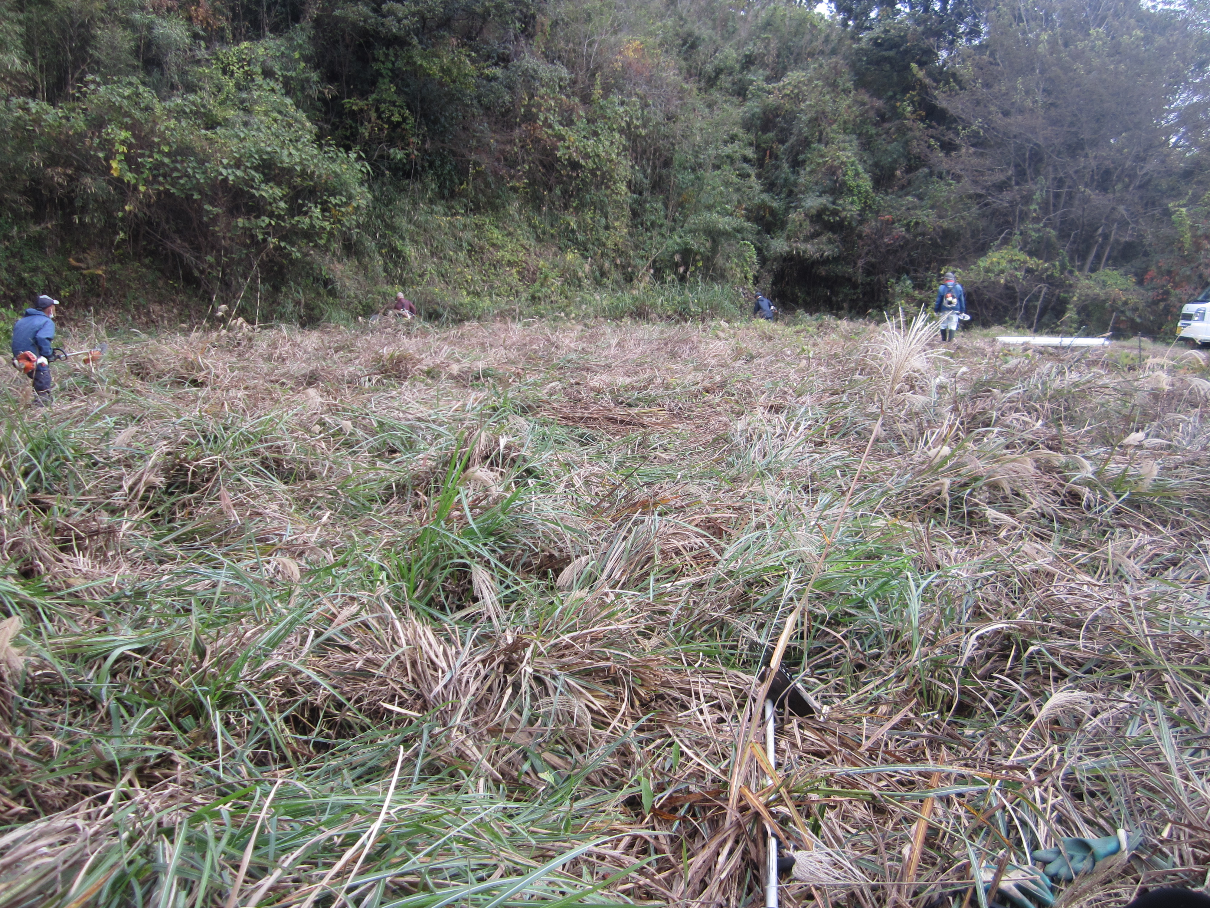 2023.11.30/IMG_2679.JPG