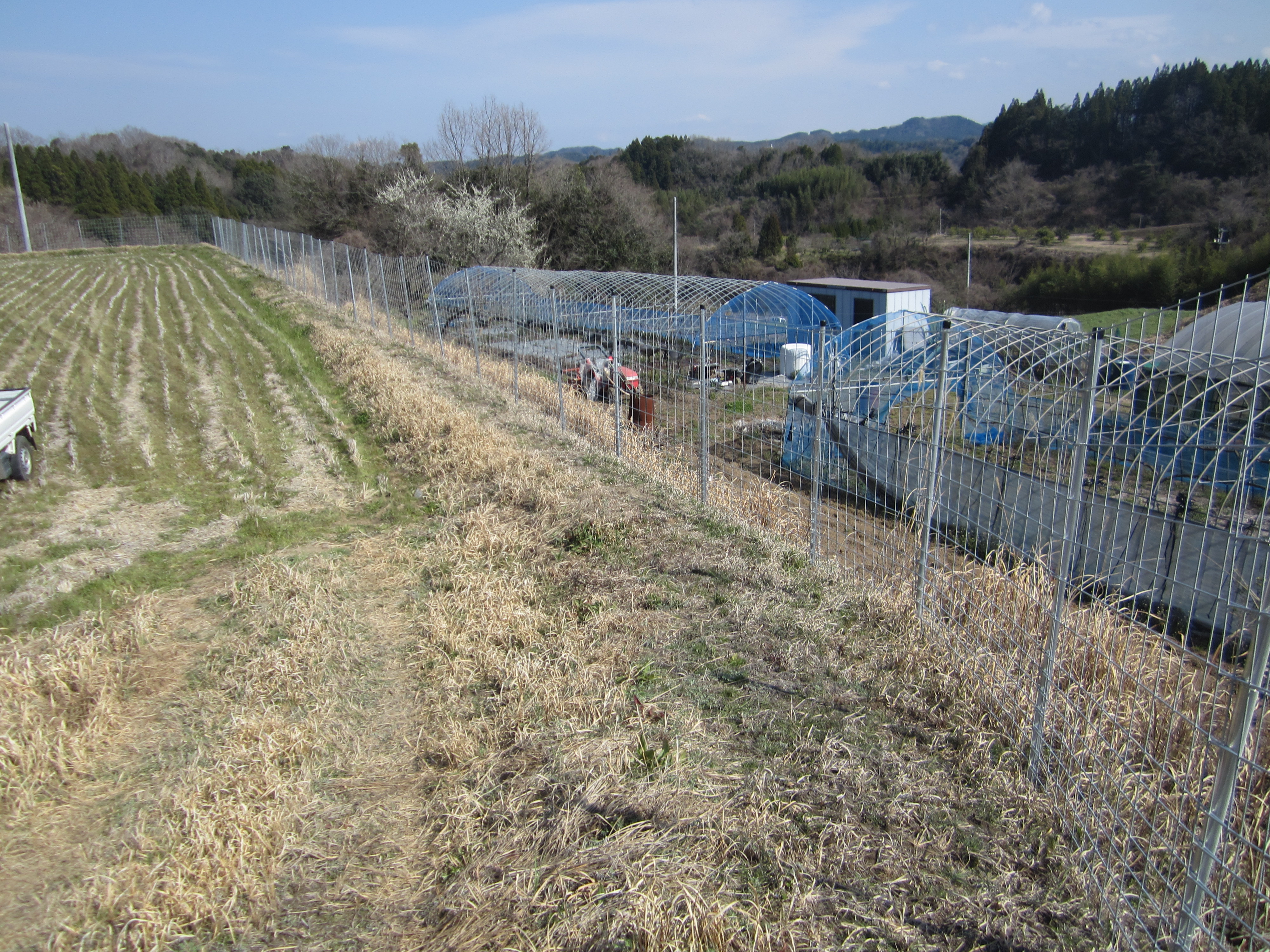 2024.01.30/IMG_2709.JPG