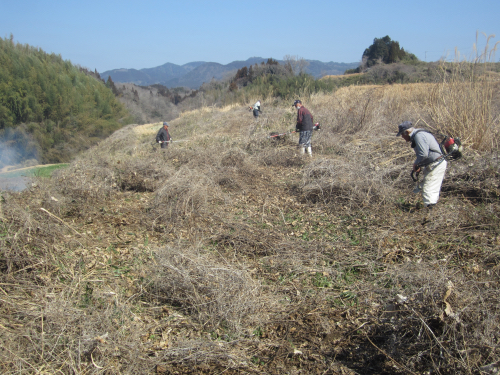 R6.荒廃地の草切/荒廃地草刈り.JPG