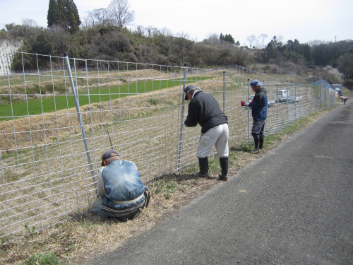 R6.鳥獣害対策（６年３月～４月）/防護柵設置.JPG