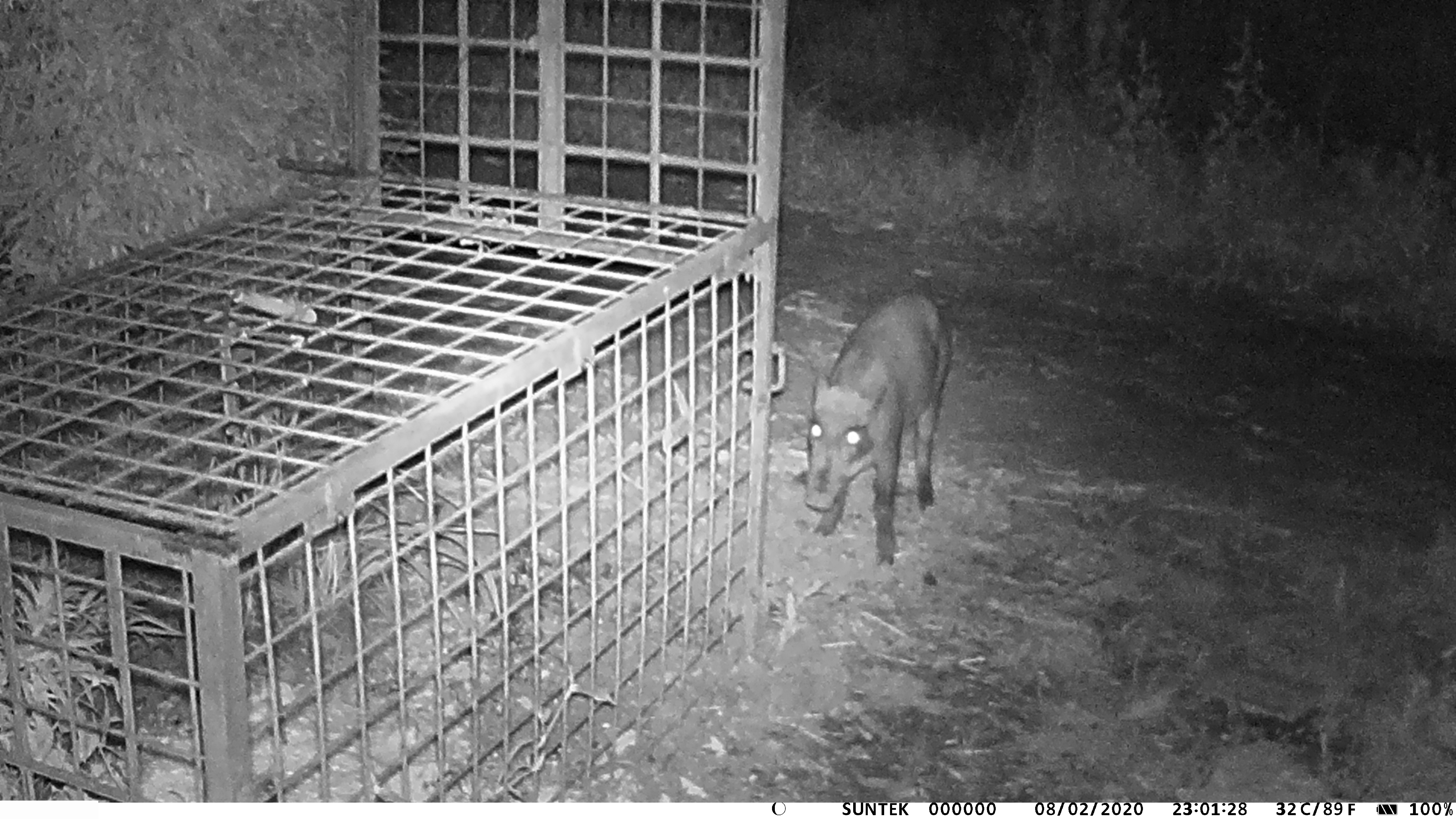 2020:02:28/IMAG0078.JPG