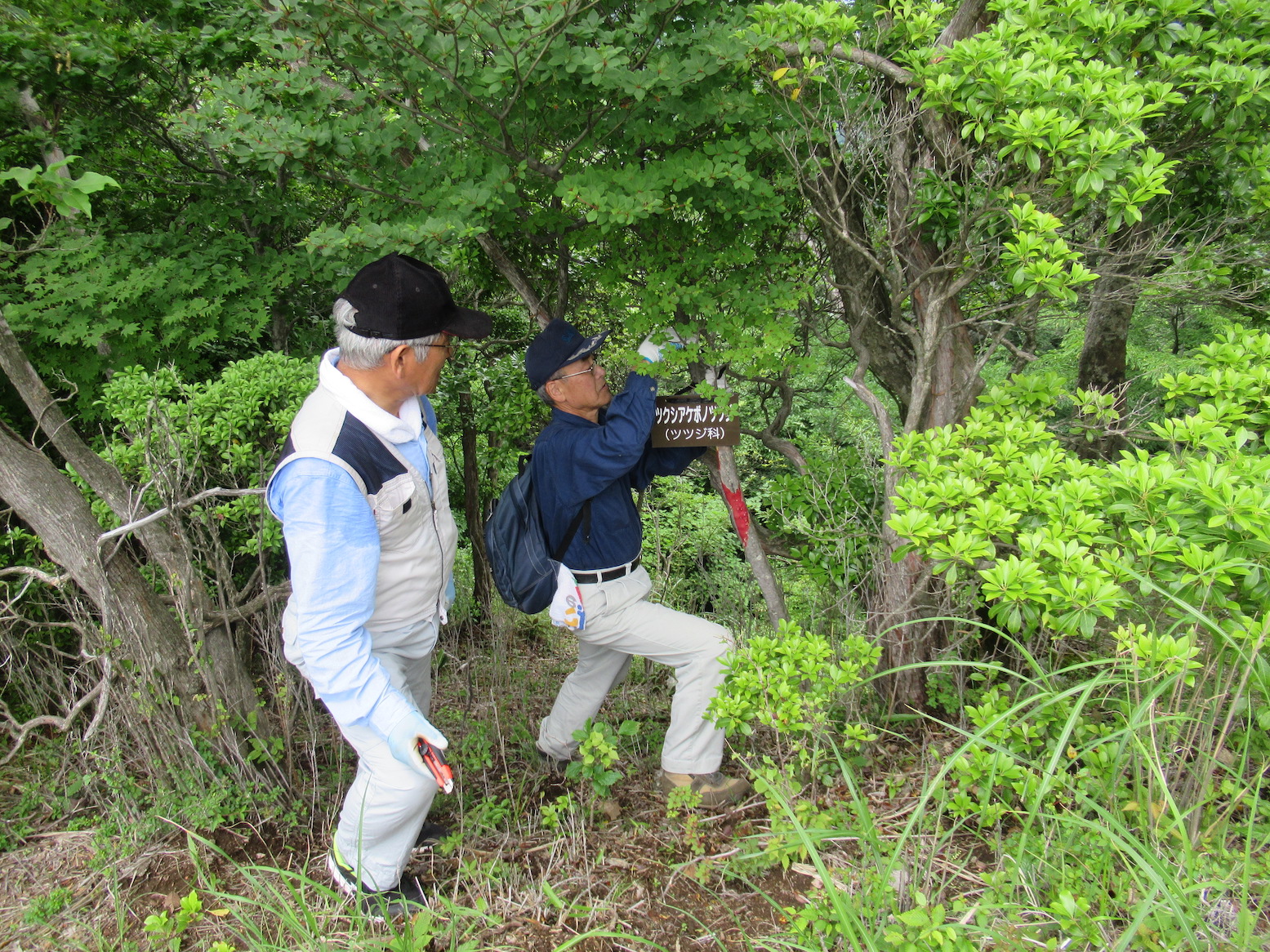 2019:11:01/登山道整備1.JPG