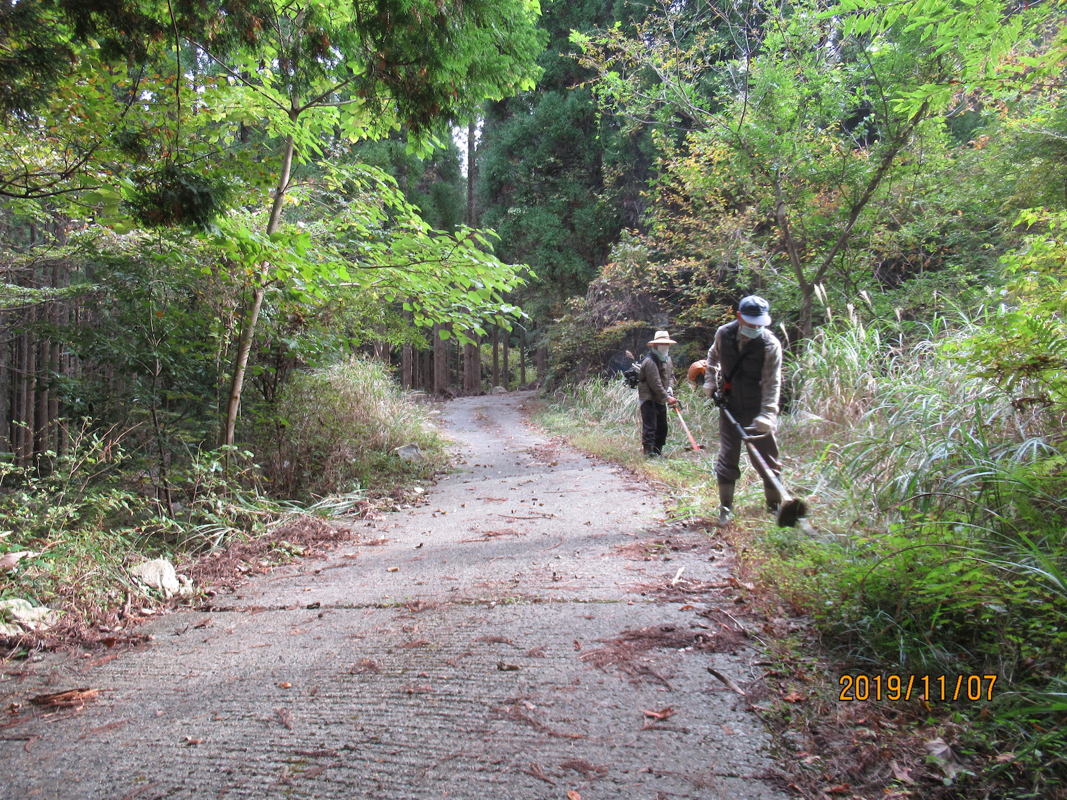 2019:11:01/登山道整備3.JPG