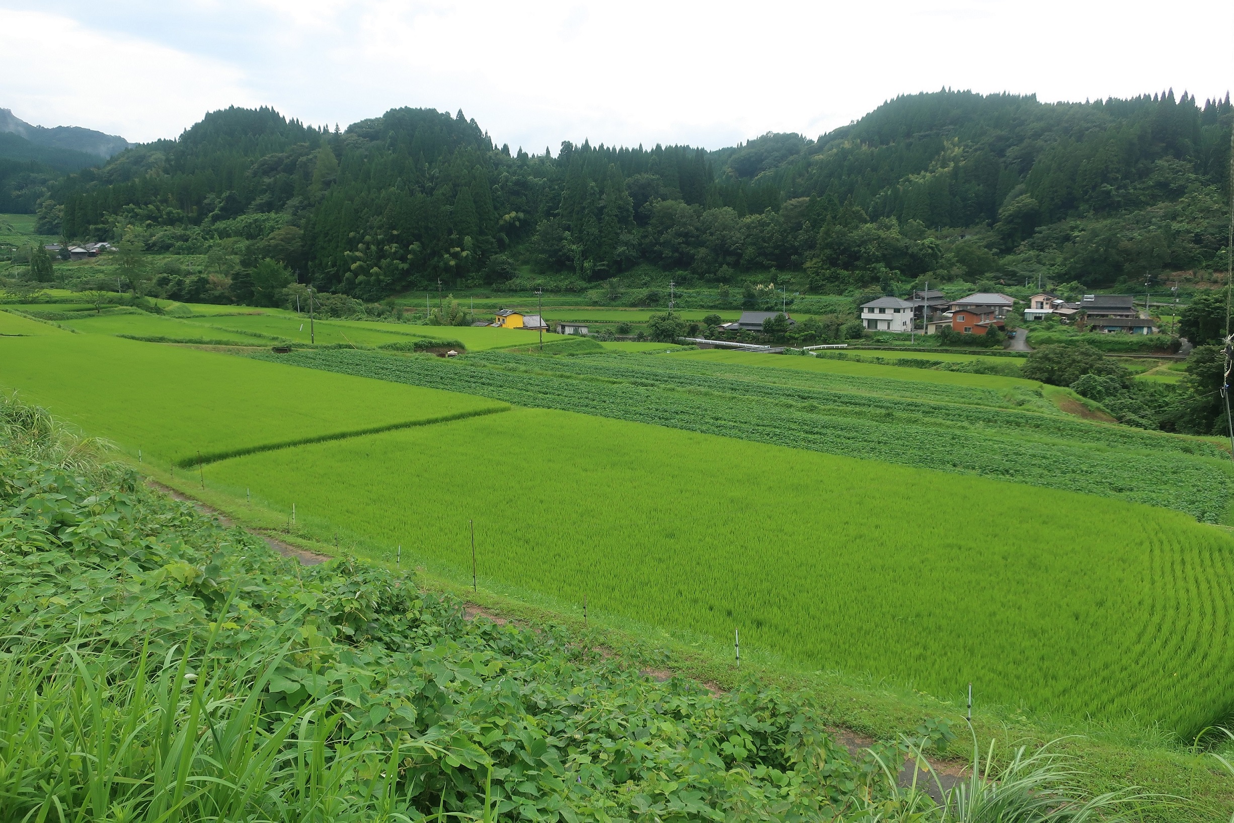 gaiyou1_img