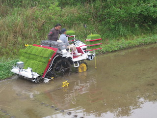 14.田植機の購入・試運転/田植え機試運転.JPG