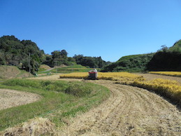 19.トキの夢米/DSC00328.JPG
