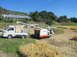 19.トキの夢米/DSC00329.JPG