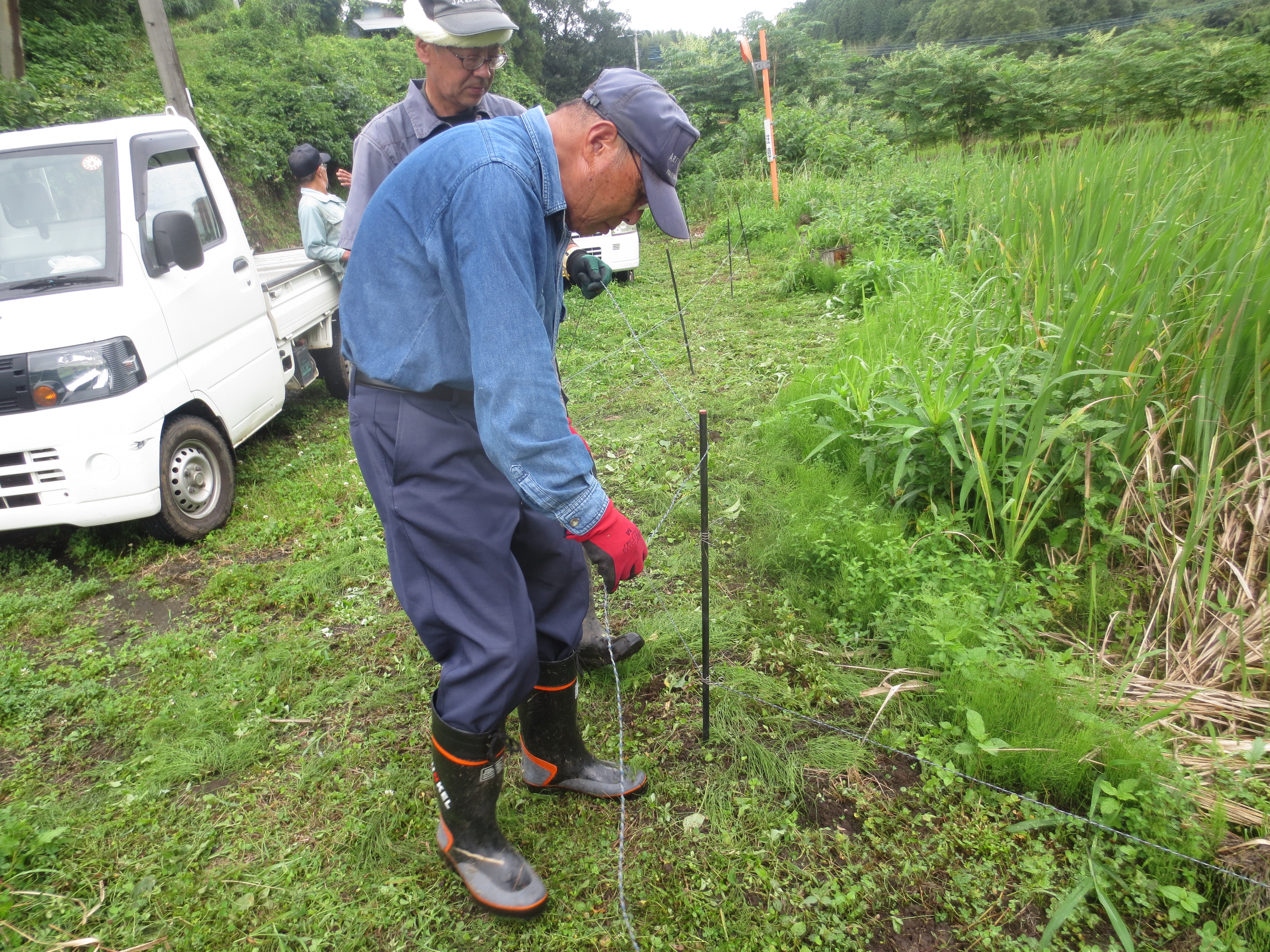 26.電気柵設置/２７，電気柵設置.JPG