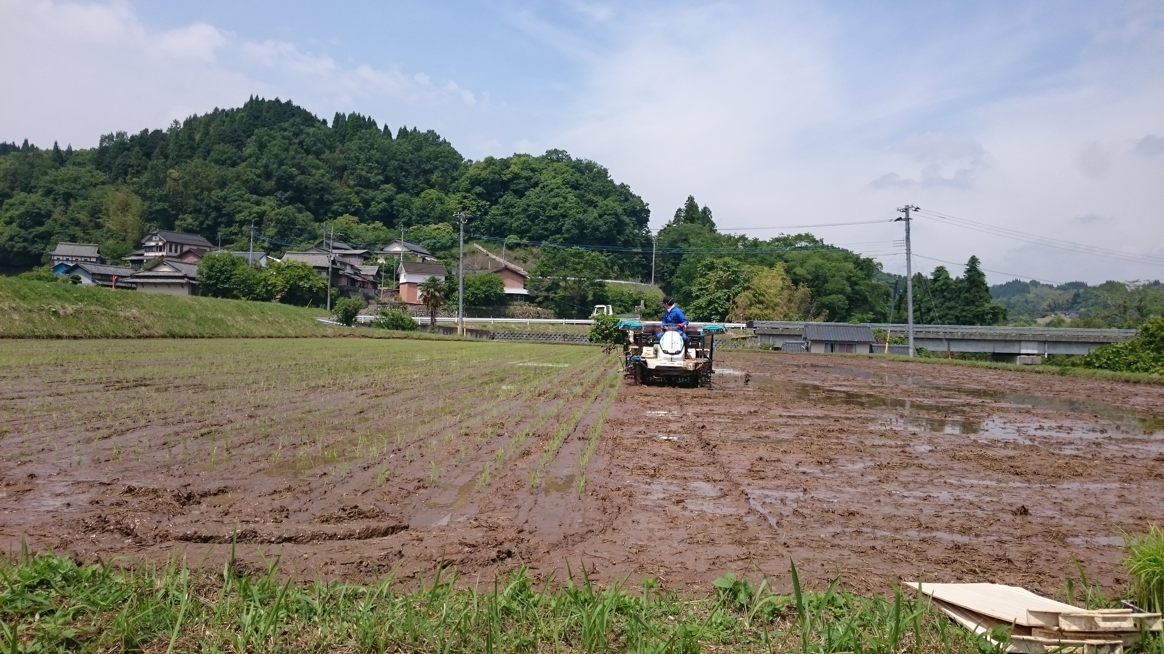 2019:06:20/DSC_1012.JPG