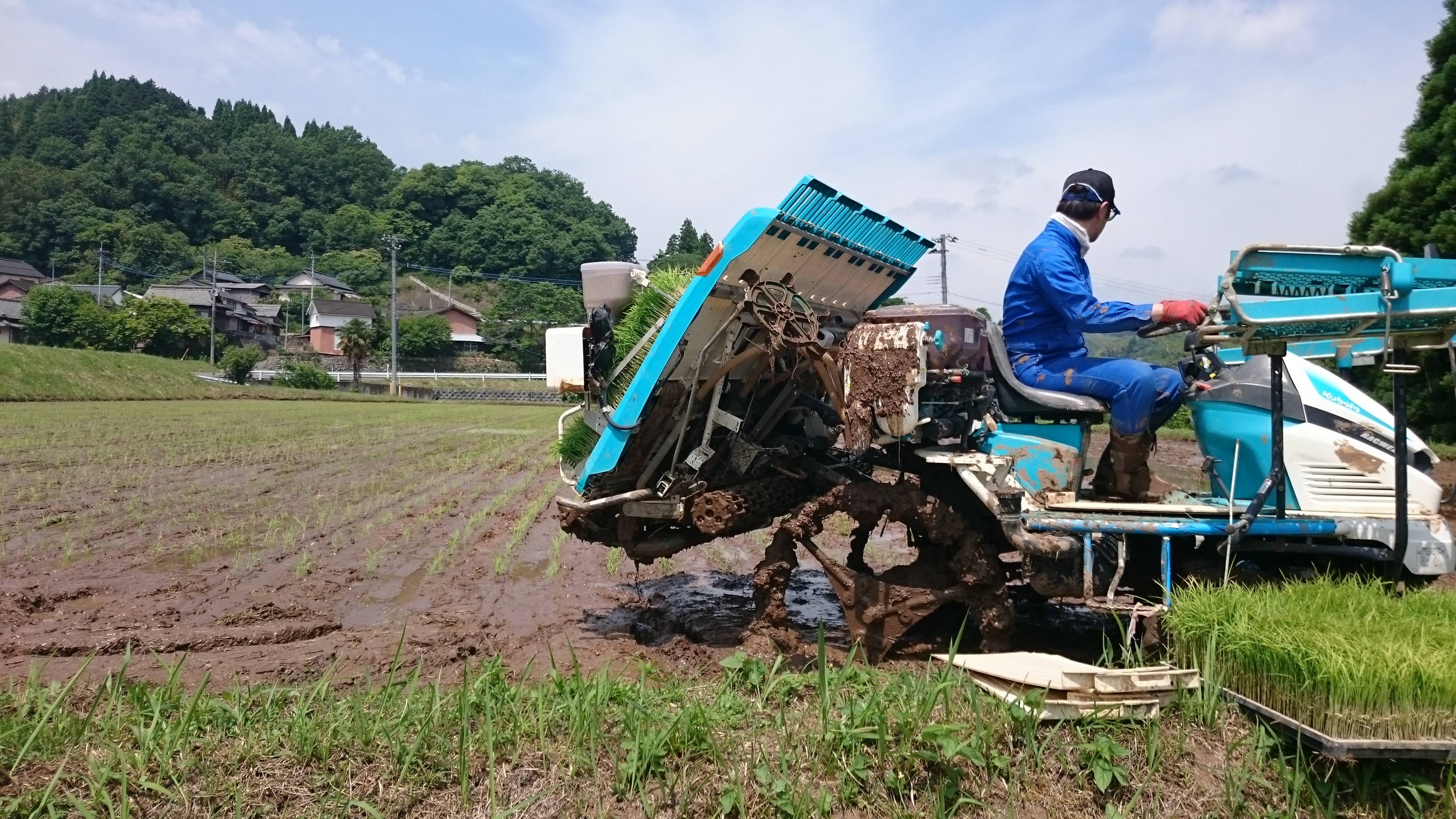 2019:06:20/DSC_1013.JPG