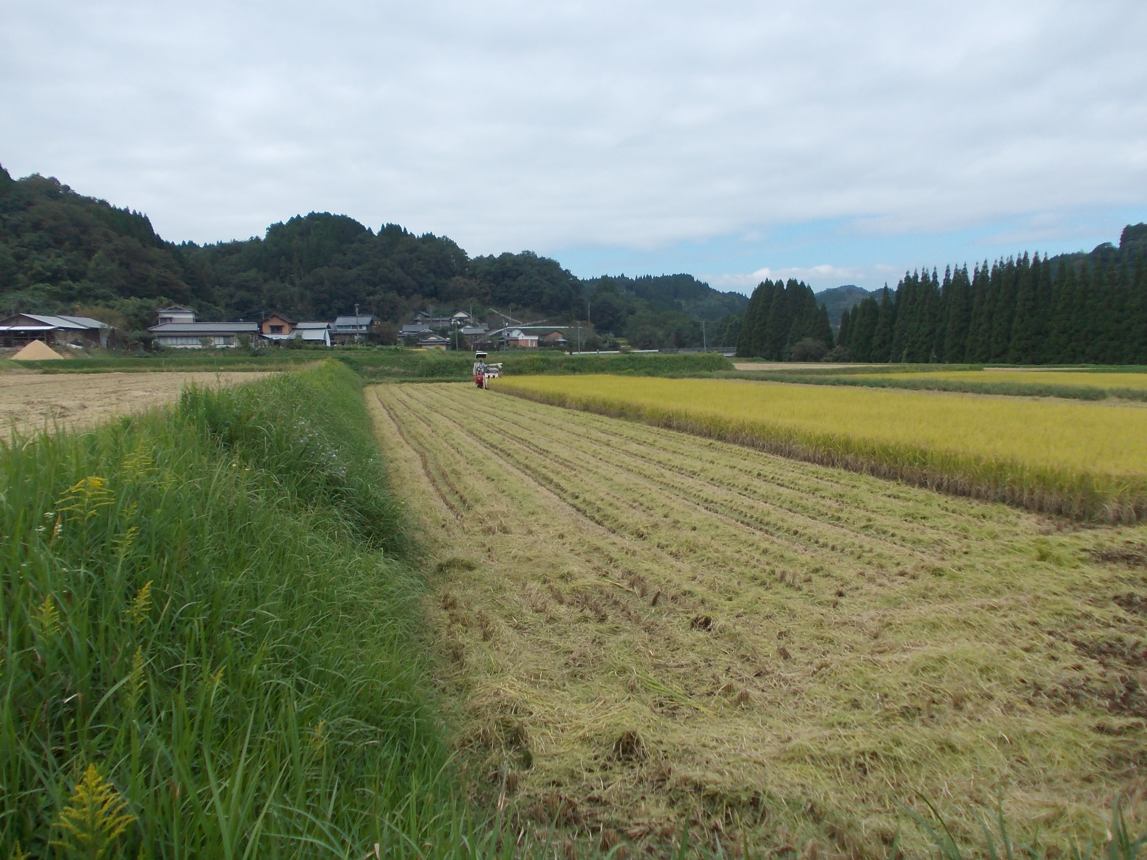 2019:10:10/DSCN0074.JPG