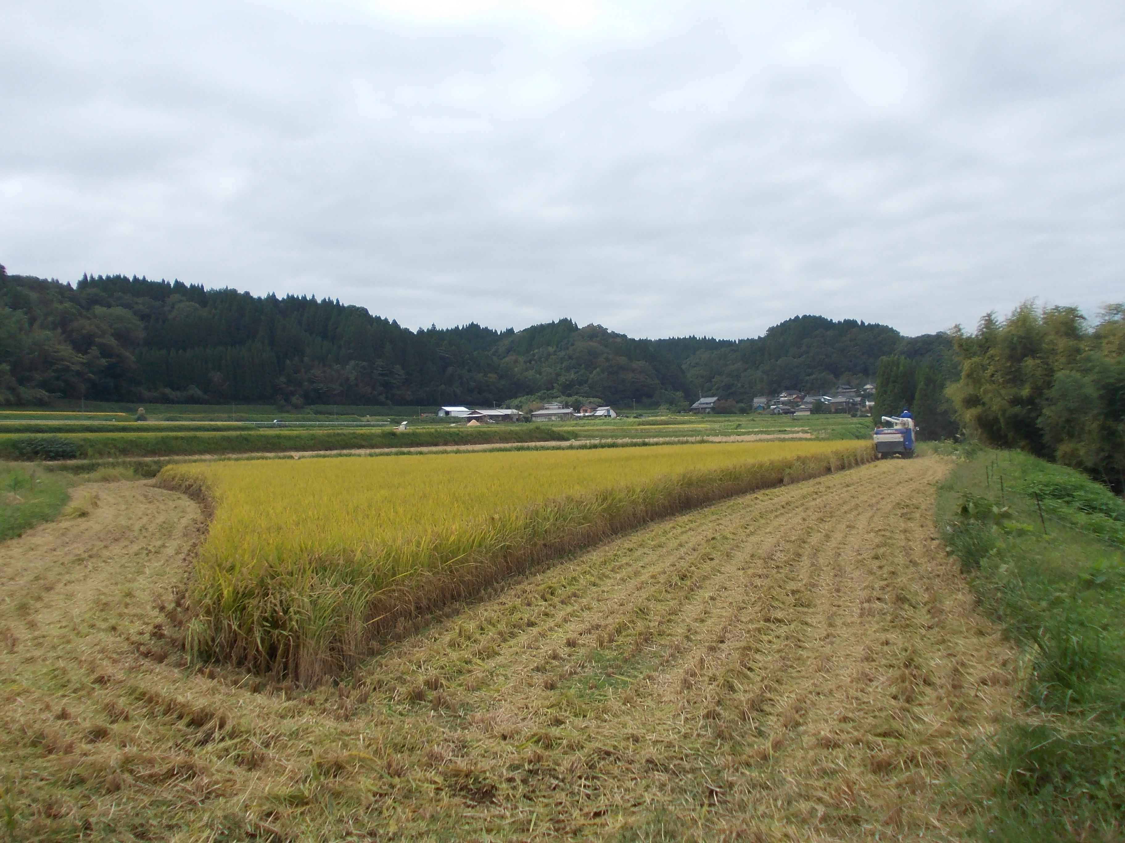 2019:10:10/DSCN0079.JPG