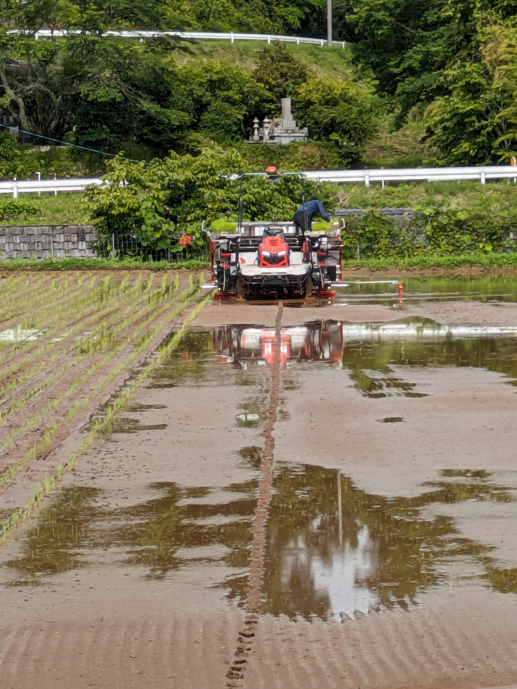 2024:06:09/6／9田植えを行いました.JPG