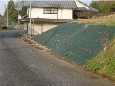 2022:05:20/図1_1.JPG