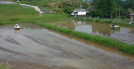 2022:07:01/図1-4.JPG