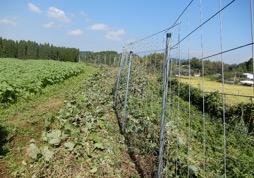 2022:10:18/図3.JPG