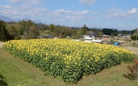 2022:11:30/図7.JPG