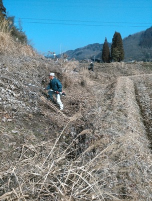 2019:06:15/新井路整備(草刈り・道切り）.jpg